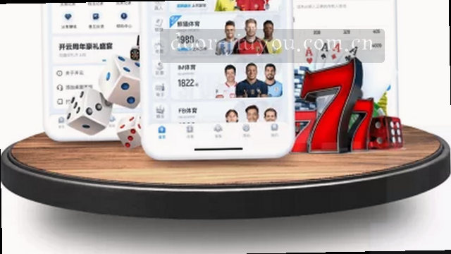处理流程示意图展示